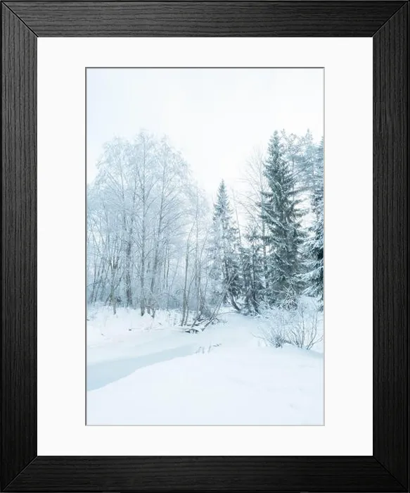 Framed Print : Beautiful atmospheric winter landscape. Snow covered trees in the forest. Winter nature background. Vertical photo Framed Print : Beautiful atmospheric winter landscape. Snow covered trees in the forest. Winter nature background. Vertical photo