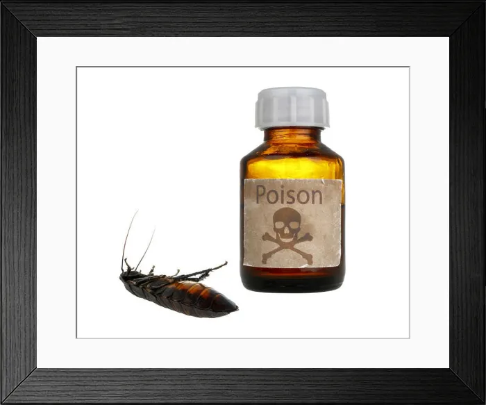Framed Print : old bottle of poison and dead cockroach Framed Print : old bottle of poison and dead cockroach