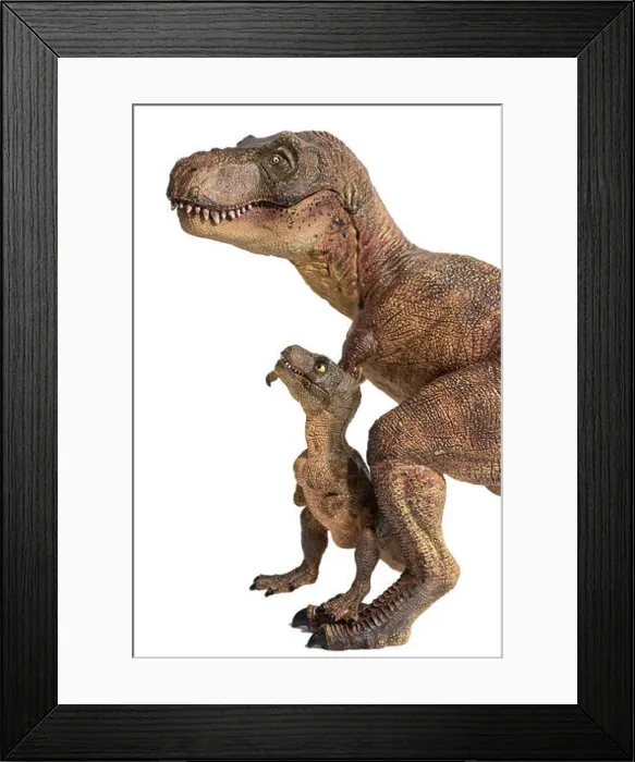 Framed Print : Tyrannosaurus rex with baby t-rex isolated on white background Framed Print : Tyrannosaurus rex with baby t-rex isolated on white background
