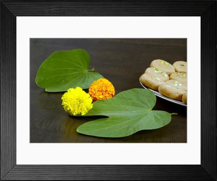 Framed Print : Apta leaf for Dussehra or Dasara, an Indian festival Framed Print : Apta leaf for Dussehra or Dasara, an Indian festival