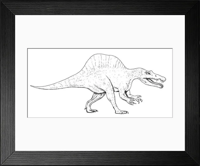 Framed Print : Drawing of dinosaur - hand sketch of spinosaurus, black and white illustration Framed Print : Drawing of dinosaur - hand sketch of spinosaurus, black and white illustration
