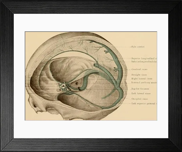 Framed Print : Atlas and text-book of topographic and applied anatomy Framed Print : Atlas and text-book of topographic and applied anatomy