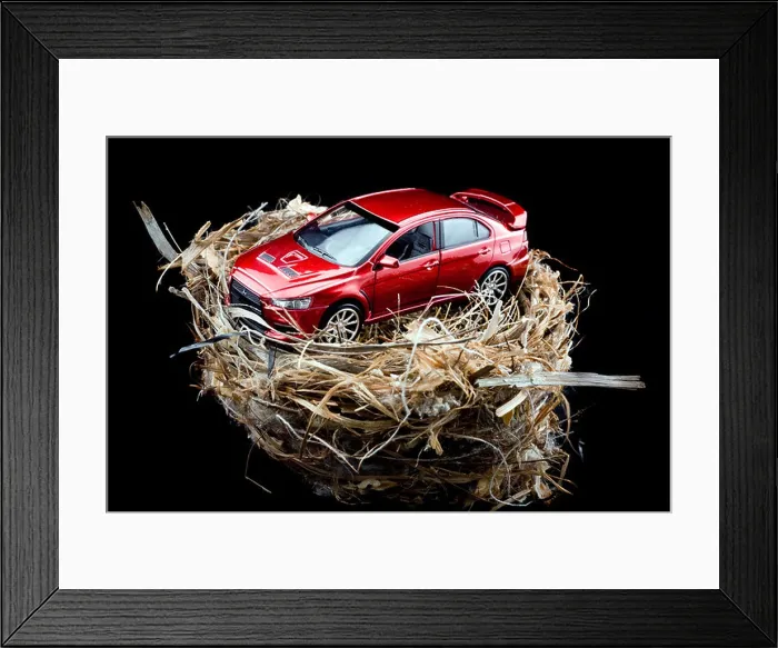 Framed Print : Red toy car on top of a birds nest Framed Print : Red toy car on top of a birds nest