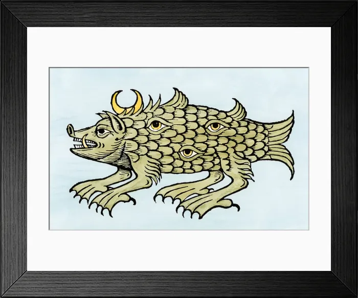Framed Print : Argus sea monster in the Oceano Germanica, or North Sea, from Olaus Magnus, 1500s. Hand-colored woodcut Framed Print : Argus sea monster in the Oceano Germanica, or North Sea, from Olaus Magnus, 1500s. Hand-colored woodcut