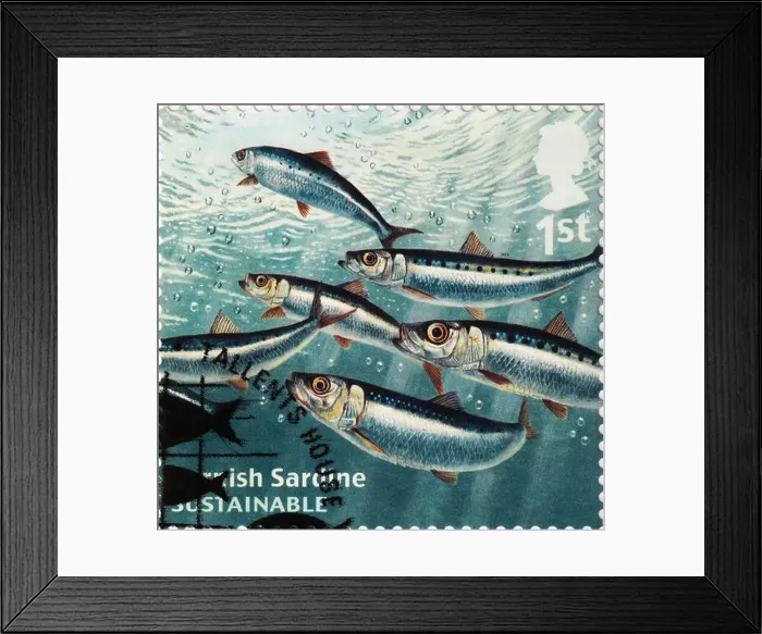 Framed Print : Cornish sardines on british postage stamp