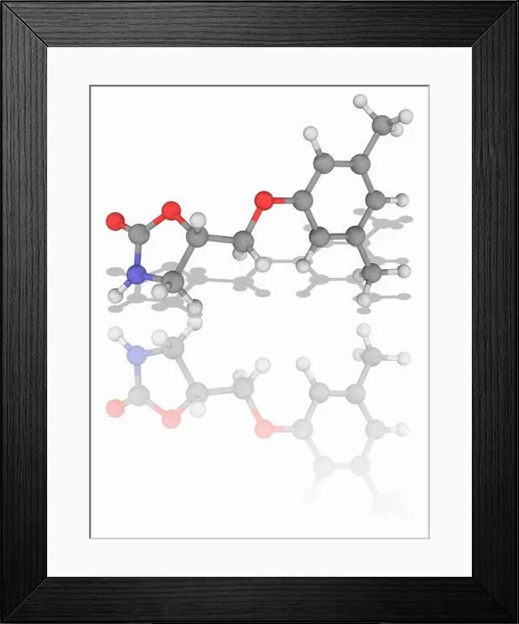 Framed Print : Metaxalone. Molecular model of the drug metaxalone (C12) Framed Print : Metaxalone. Molecular model of the drug metaxalone (C12)