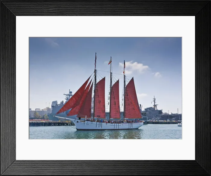 Framed Print : Tall Ship American Pride at the Festival of Sail in San Diego Framed Print : Tall Ship American Pride at the Festival of Sail in San Diego