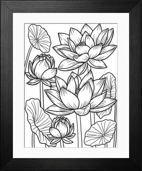 Framed Print : Lotus Flower Coloring Page for Adults Framed Print : Lotus Flower Coloring Page for Adults