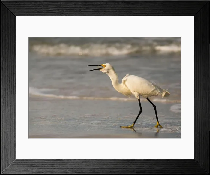 Framed Print : Fish Supper Framed Print : Fish Supper