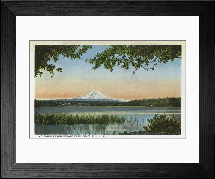 Framed Print : Mount Rainier from Seward Park, Seattle, Washington, USA, 1916 Framed Print : Mount Rainier from Seward Park, Seattle, Washington, USA, 1916