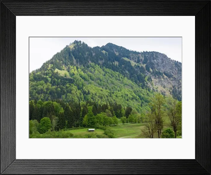 Framed Print : Allgäu, Wiesen, Felder, Berghang, Wald