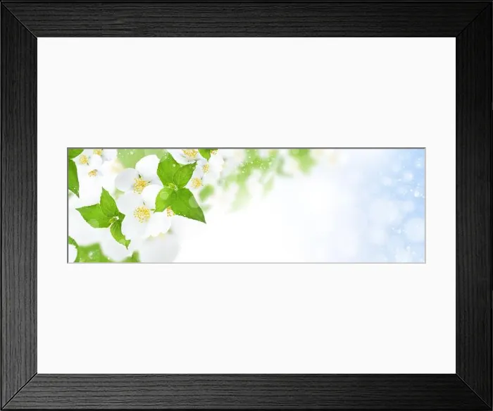 Framed Print : Jasmine flowers blooming on the bushes on a sunny day. Shallow depth of field. Greeting card template background Framed Print : Jasmine flowers blooming on the bushes on a sunny day. Shallow depth of field. Greeting card template background