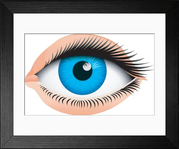Framed Print : Human biology, sensory organ, anatomy illustration Framed Print : Human biology, sensory organ, anatomy illustration