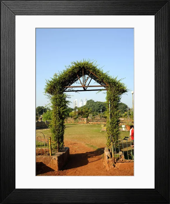Framed Print : hanging garden malabar hill, mumbai, maharashtra, India, Asia Framed Print : hanging garden malabar hill, mumbai, maharashtra, India, Asia