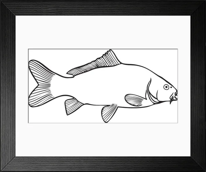 Framed Print : Carp vector Framed Print : Carp vector