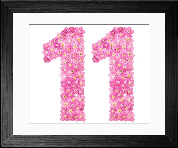 Framed Print : Arabic numeral 11, eleven, from pink forget-me-not flowers, isolated on white background Framed Print : Arabic numeral 11, eleven, from pink forget-me-not flowers, isolated on white background