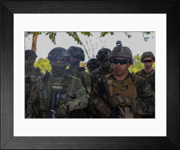 Framed Print : U.S. Marine Corps Lance Cpl. Eusauner Barros Framed Print : U.S. Marine Corps Lance Cpl. Eusauner Barros