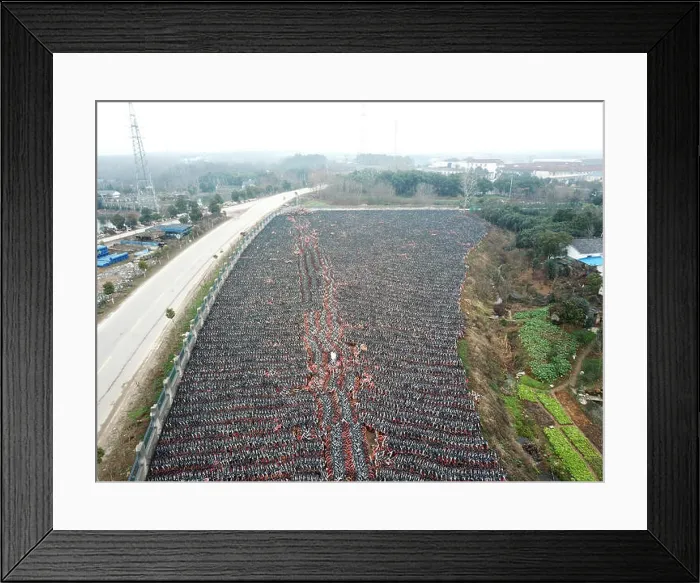 Framed Print : In this aerial view Framed Print : In this aerial view