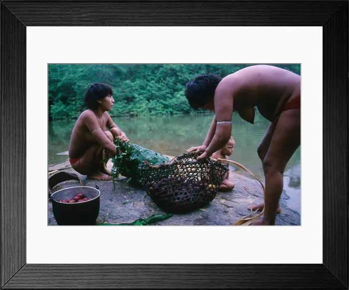 Framed Print : Yanomami Indians washing fruit in river, Roraima province, near Boa Vista, Brazil, Amazon Framed Print : Yanomami Indians washing fruit in river, Roraima province, near Boa Vista, Brazil, Amazon