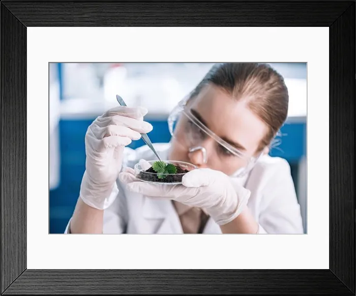 Framed Print : attractive biochemist in goggles holding tweezers near green plant Framed Print : attractive biochemist in goggles holding tweezers near green plant