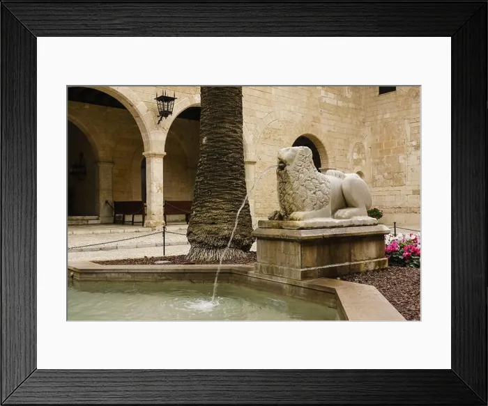 Framed Print : leon del patio del Brollador, palacio real de la Almudaina Framed Print : leon del patio del Brollador, palacio real de la Almudaina