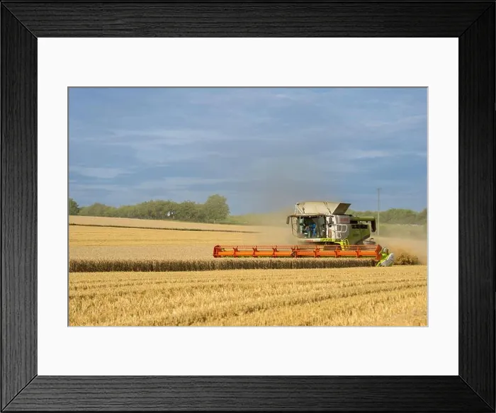 Framed Print : An agricultural machine collecting wheat in a field, Heilbronn, Germany Framed Print : An agricultural machine collecting wheat in a field, Heilbronn, Germany