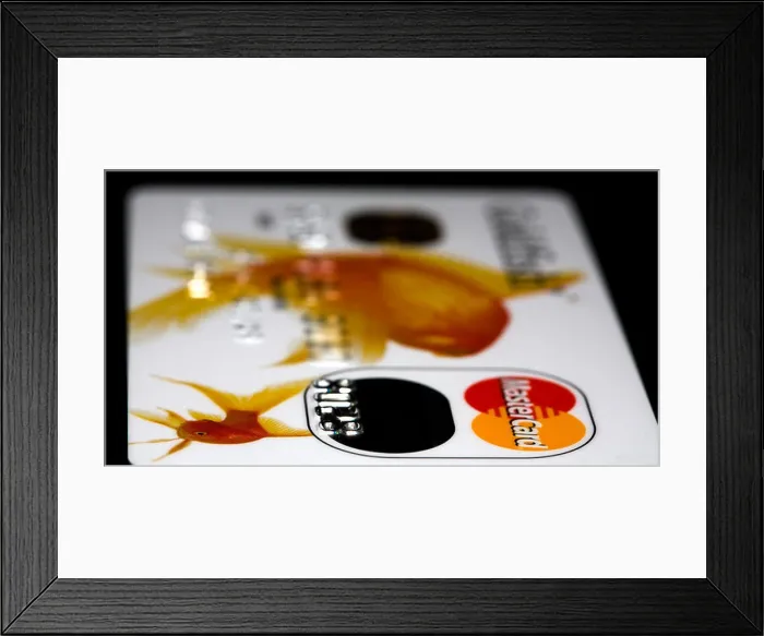 Framed Print : MasterCard Goldfish Credit Card Framed Print : MasterCard Goldfish Credit Card