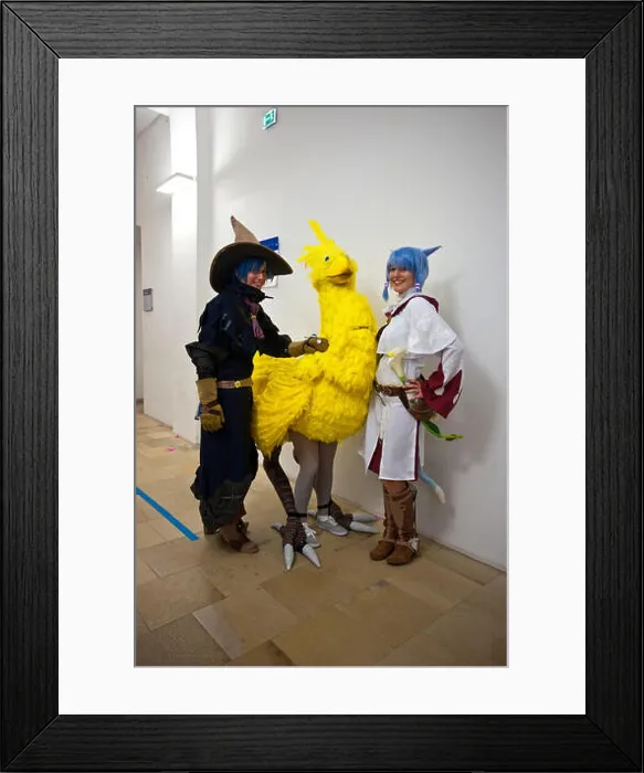 Framed Print : Wien, Cosplay-Party - Vienna, Cosplay-Party Framed Print : Wien, Cosplay-Party - Vienna, Cosplay-Party
