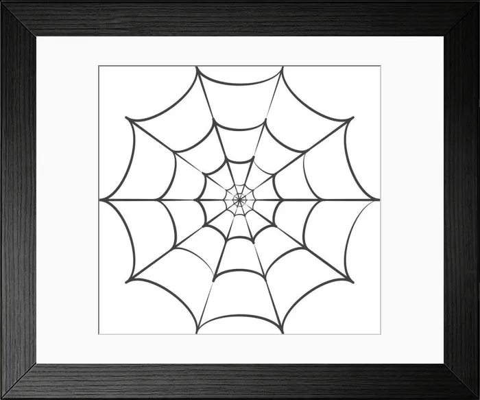 Framed Print : spider web ilustration logo vector template Framed Print : spider web ilustration logo vector template