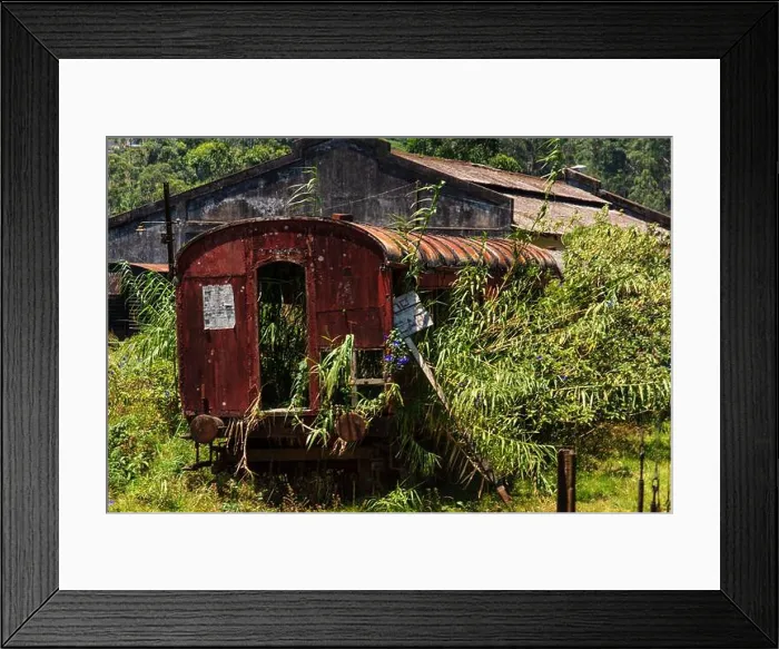 Framed Print : Lost Place. A red rusty train wreck overgrown and forgotten Framed Print : Lost Place. A red rusty train wreck overgrown and forgotten