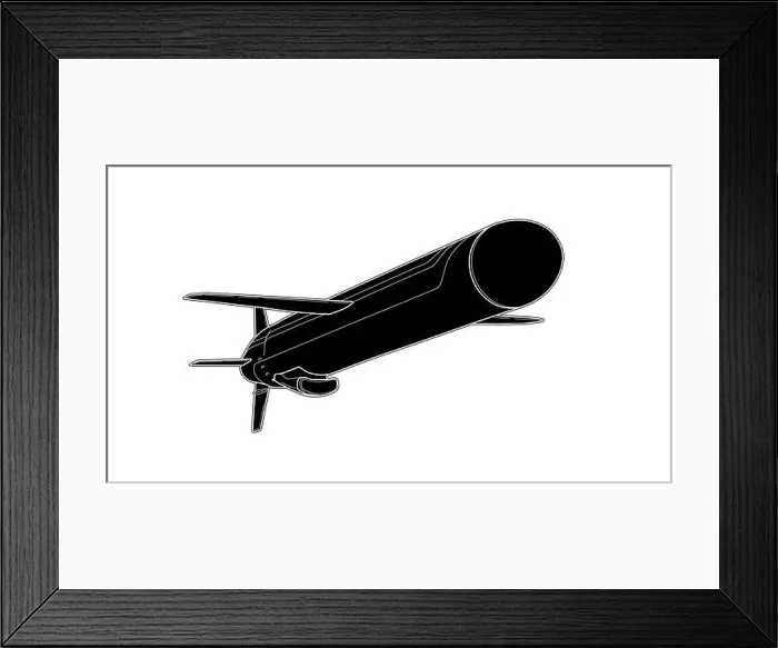 Framed Print : Vector tech draw illustration of cruise missile Framed Print : Vector tech draw illustration of cruise missile