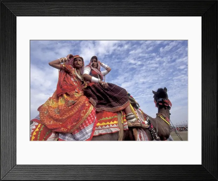 Framed Print : Women in traditional Rajasthani dress on a Camel at the Bikaner Camel Festival in the Town of Bikaner in the Province Framed Print : Women in traditional Rajasthani dress on a Camel at the Bikaner Camel Festival in the Town of Bikaner in the Province