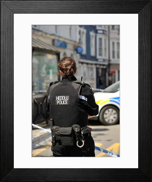 Framed Print : Rear view of a Dyfed Powys Police force woman constable, Wales UK Framed Print : Rear view of a Dyfed Powys Police force woman constable, Wales UK