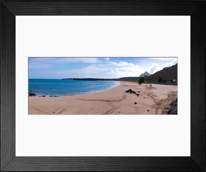 Framed Print : green sea turtle nesting area on beach Ascension Island South Atlantic Ocean Framed Print : green sea turtle nesting area on beach Ascension Island South Atlantic Ocean