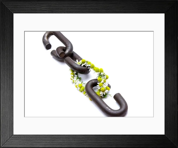 Framed Print : a chain is only as strong as its weakest link proverb one link made of flowers Framed Print : a chain is only as strong as its weakest link proverb one link made of flowers