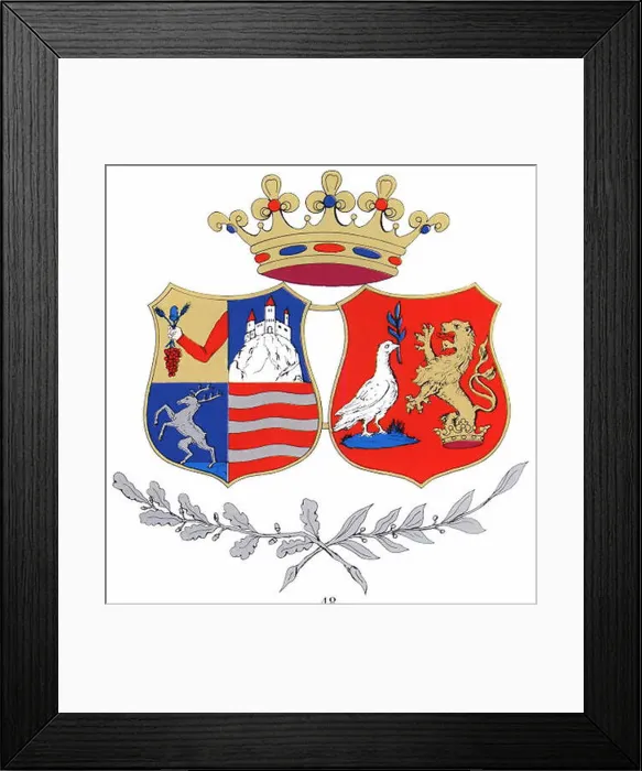 Framed Print : The Szilagy coat of arms is a heraldic symbol representing the Szilagy family or region Framed Print : The Szilagy coat of arms is a heraldic symbol representing the Szilagy family or region