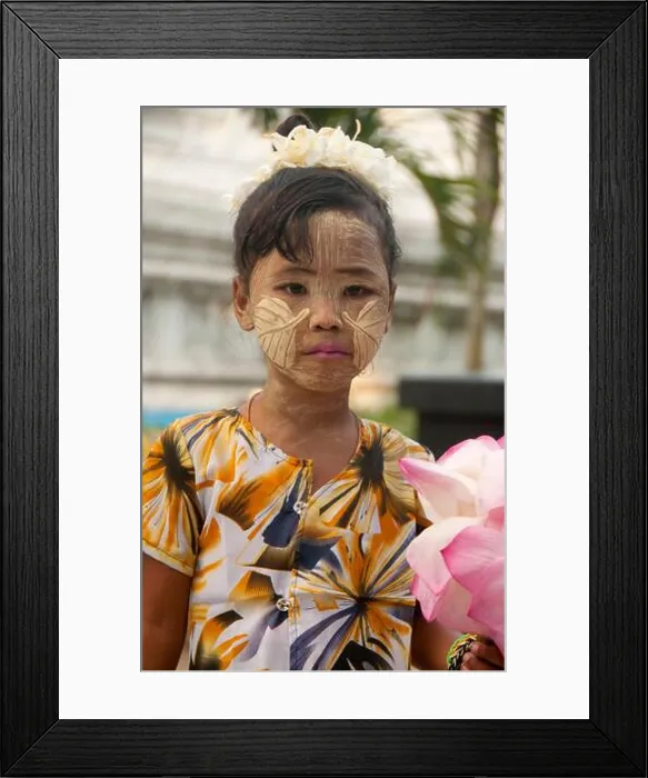 Framed Print : Thanaka (also spelt thanakha) is a yellowish-white cosmetic paste made from ground bark Framed Print : Thanaka (also spelt thanakha) is a yellowish-white cosmetic paste made from ground bark