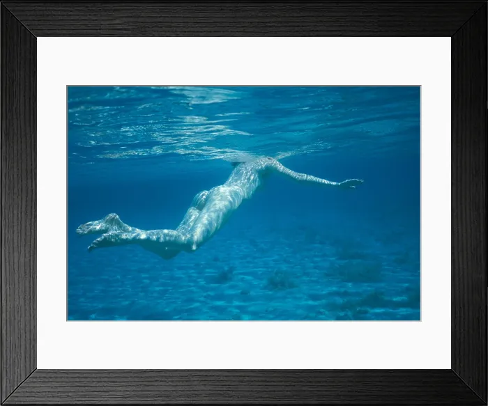 Framed Print : Female naked body underwater Framed Print : Female naked body underwater
