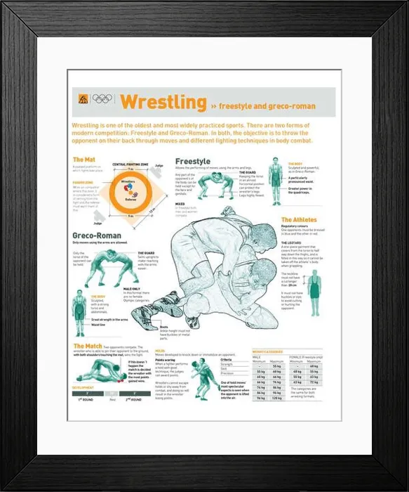 Framed Print : Infographics about freestyle and Greco-Roman wrestling: techniques and basic rules. [Adobe Illustrator (.ai)]