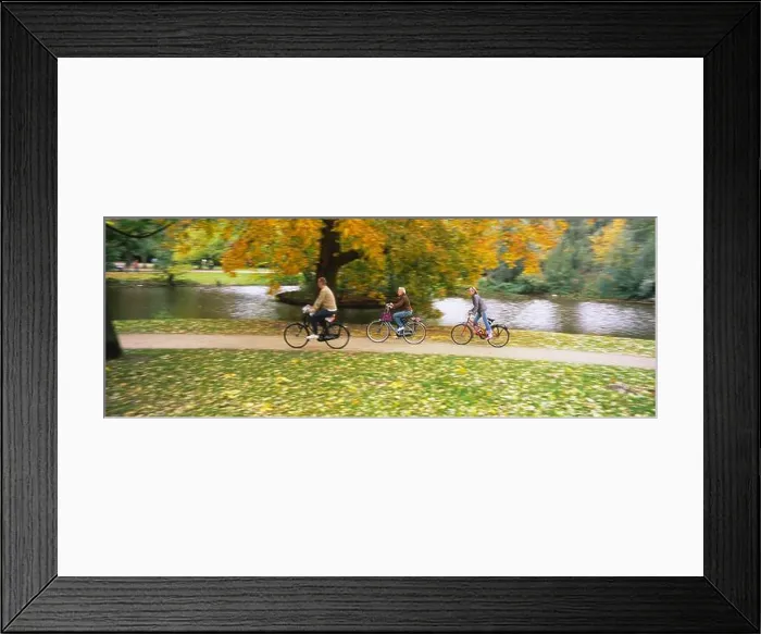 Framed Print : People riding bicycles in a park, Vondelpark, Amsterdam, Netherlands