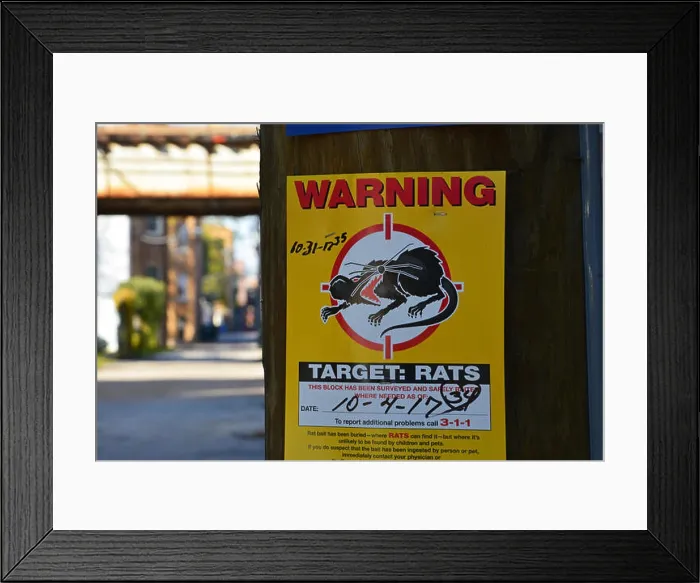 Framed Print : For a 3rd year an a row Framed Print : For a 3rd year an a row