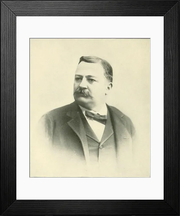 Framed Print : A history of the New York Swamp Framed Print : A history of the New York Swamp