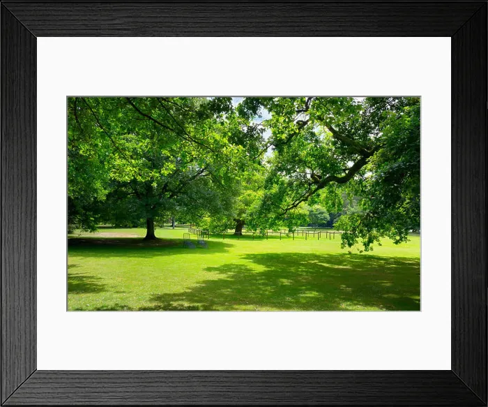 Framed Print : Sunny Meadow with green grass and large trees in the park
