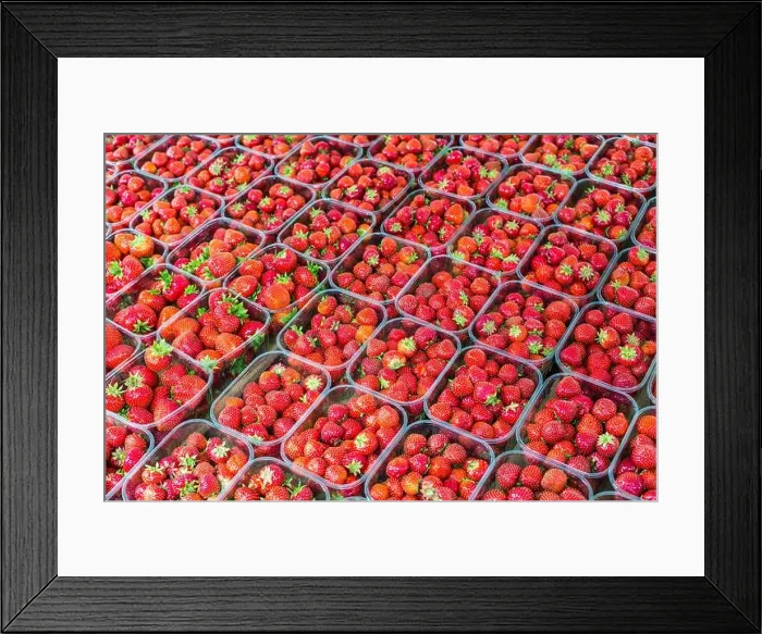 Framed Print : Netherlands South Holland Rotterdam Binnenrotte country's largest market strawberries country Framed Print : Netherlands South Holland Rotterdam Binnenrotte country's largest market strawberries country