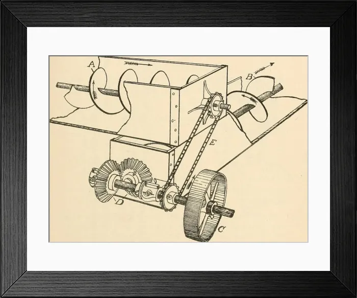 Framed Print : Cotton and cotton oil. Cotton Framed Print : Cotton and cotton oil. Cotton