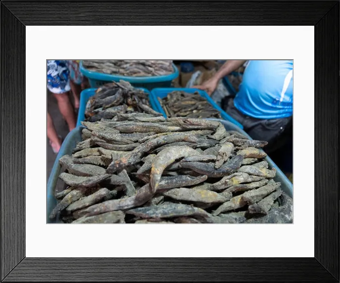 Framed Print : Male india fish market: dried fish in maldives asia Framed Print : Male india fish market: dried fish in maldives asia