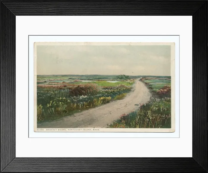Framed Print : Postcard series number: 81488 Continued contract issues.; Madaket Moore (roadway on right), Nantucket Island, Mass Framed Print : Postcard series number: 81488 Continued contract issues.; Madaket Moore (roadway on right), Nantucket Island, Mass