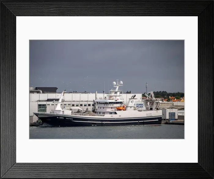 Framed Print : Fischereischiff „Gerdon“ im Hafen von Skagen vor der Scandic Pelagic Fabrik, Dänemark Framed Print : Fischereischiff „Gerdon“ im Hafen von Skagen vor der Scandic Pelagic Fabrik, Dänemark
