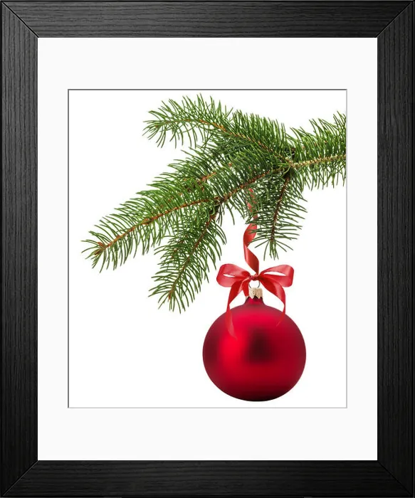Framed Print : Christmas tree branch with red ball isolated on the white background Framed Print : Christmas tree branch with red ball isolated on the white background