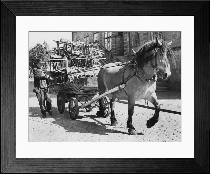 Framed Print : Horse and carriage. A man with his horse and carriage in a street in Jönköping Sweden Framed Print : Horse and carriage. A man with his horse and carriage in a street in Jönköping Sweden